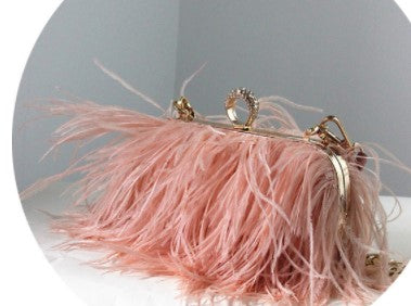 Sibilla Ostrich-Feather Frame Clutch