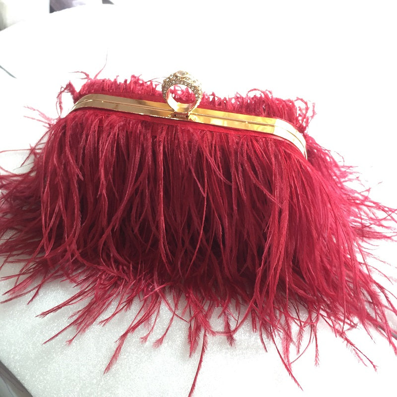 Sibilla Ostrich-Feather Frame Clutch