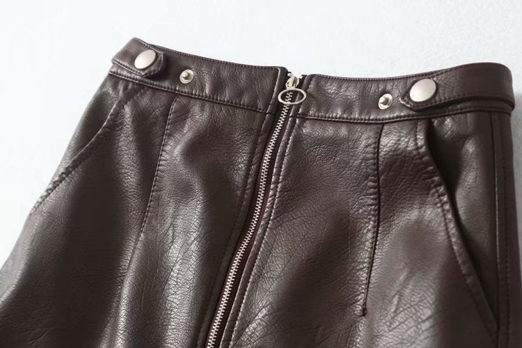 Dafne Faux Leather Mini Skirt